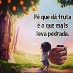 pé que dá fruta leva pedrada